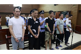 梁山贷款清欠服务